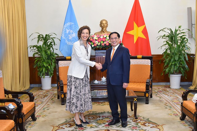 Bộ trưởng Bộ Ngoại giao Bùi Thanh Sơn tiếp Tổng Giám đốc UNESCO - Ảnh 1.