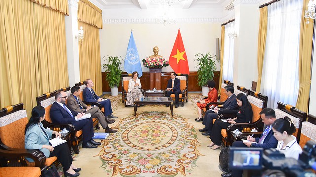 Bộ trưởng Bộ Ngoại giao Bùi Thanh Sơn tiếp Tổng Giám đốc UNESCO - Ảnh 2.