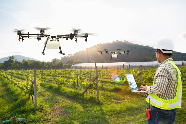 Ứng dụng thiết bị bay không người lái trong nông nghiệp - Ảnh 1.