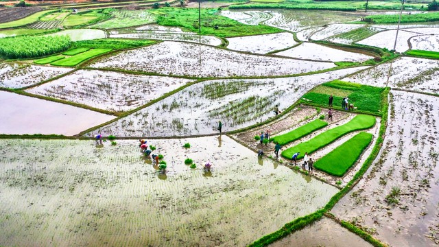 Chuẩn bị sẵn sàng điều kiện lấy nước đợt 2 - Ảnh 1. Chuẩn bị sẵn sàng điều kiện lấy nước đợt 2 - Ảnh 1.