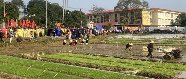 Tuyên Quang, Hòa Bình tổ chức ngày hội đầu xuân mới - Ảnh 2.