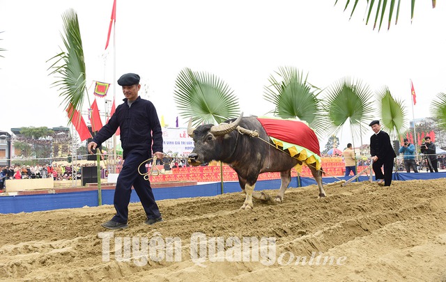 Tuyên Quang, Hòa Bình tổ chức ngày hội đầu xuân mới - Ảnh 1.