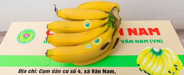 Bảo đảm an toàn thực phẩm qua đạt chuẩn sản phẩm OCOP - Ảnh 1. Bảo đảm an toàn thực phẩm qua đạt chuẩn sản phẩm OCOP - Ảnh 1.