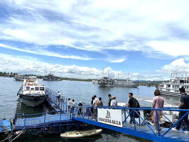 Cần tạo điều kiện để du lịch tàu biển phát triển - Ảnh 3. Cần tạo điều kiện để du lịch tàu biển phát triển - Ảnh 3.