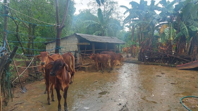 Quảng Trị: Huy động lực lượng tìm kiếm người mất tích, khắc phục hậu quả mưa lũ- Ảnh 6.