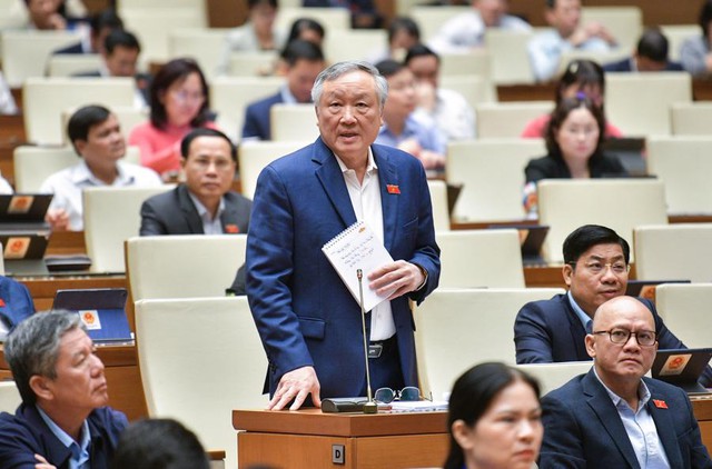 Đại biểu Quốc hội băn khoăn về xác định giá trị thiệt hại 2 vụ án Vũ 'Nhôm' và cựu Chủ tịch Đà Nẵng- Ảnh 9.