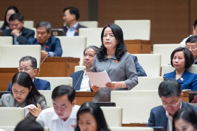 Đại biểu Quốc hội băn khoăn về xác định giá trị thiệt hại 2 vụ án Vũ 'Nhôm' và cựu Chủ tịch Đà Nẵng- Ảnh 1.