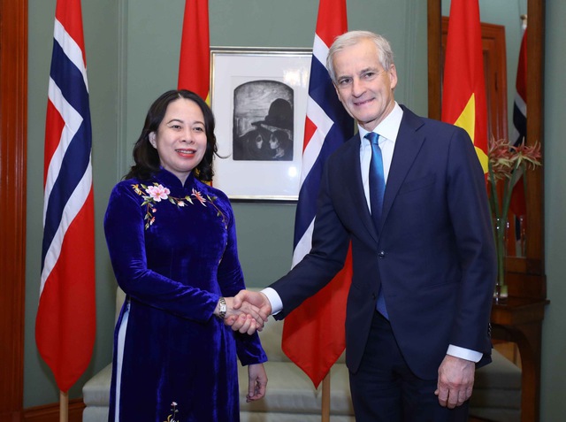 Phó Chủ tịch nước Võ Thị Ánh Xuân hội đàm với Thủ tướng Na uy- Ảnh 1.