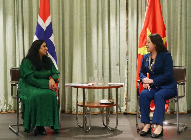 Phó Chủ tịch nước Võ Thị Ánh Xuân hội đàm với Thủ tướng Na uy- Ảnh 3.