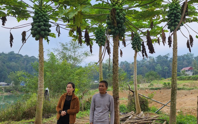 Bám bản, bám dân, đưa vốn đến với bà con vùng cao- Ảnh 2.