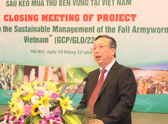 Quản lý bền vững dịch hại sâu keo mùa thu ở Việt Nam- Ảnh 1.