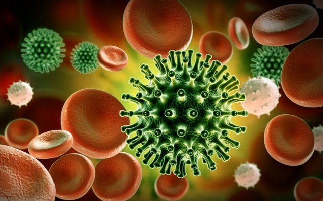 Ghi nhận biến thể JN.1 của virus SARS-CoV-2 gia tăng trên toàn cầu- Ảnh 1.