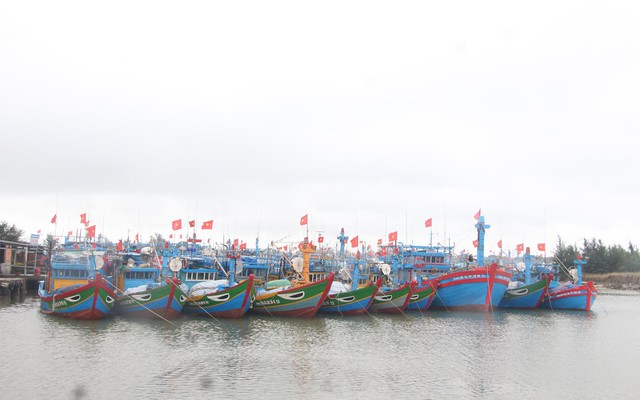 Ngư dân Quảng Ngãi đồng loạt vươn khơi khai thác hải sản đầu năm - Ảnh 4.