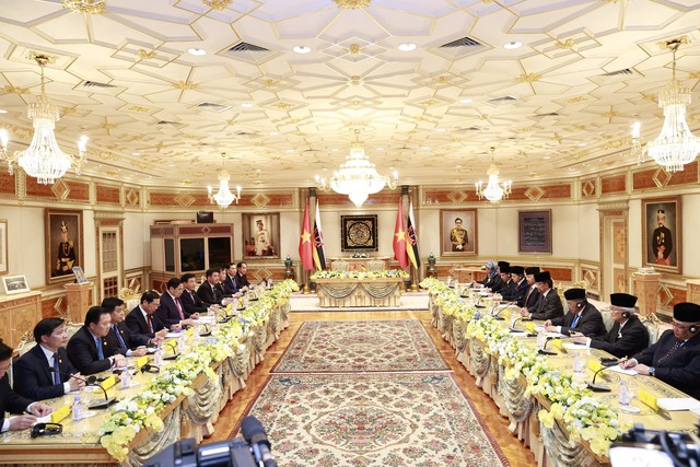 Tăng cường kết nối hai nền kinh tế, thúc đẩy quan hệ Đối tác Toàn diện Việt Nam-Brunei - Ảnh 5.
