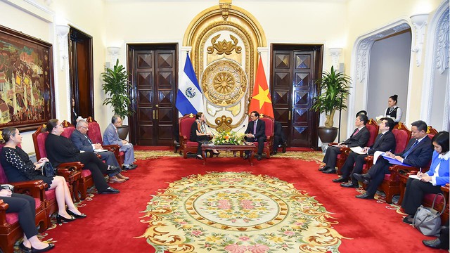 Bộ trưởng Ngoại giao Bùi Thanh Sơn hội đàm với Bộ trưởng Ngoại giao El Salvador - Ảnh 1.