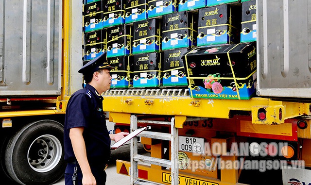 Lạng Sơn: Xuất khẩu hoa quả qua 5 cửa khẩu tăng mạnh - Ảnh 2.