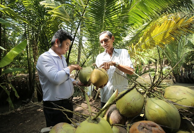 Xuất khẩu ngành dừa tiệm cận 1 tỷ USD - Ảnh 2.