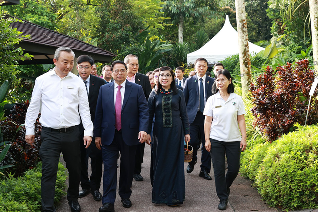 Singapore định danh loài lan mới theo tên Thủ tướng Phạm Minh Chính và Phu nhân - Ảnh 1.