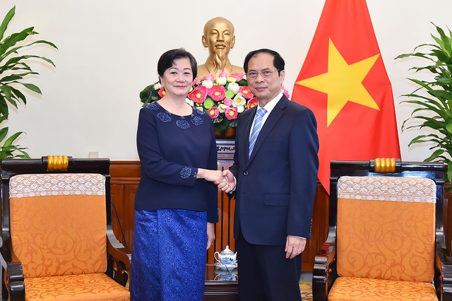 Bộ trưởng Ngoại giao Bùi Thanh Sơn tiếp Đại sứ Campuchia tại Việt Nam - Ảnh 1.