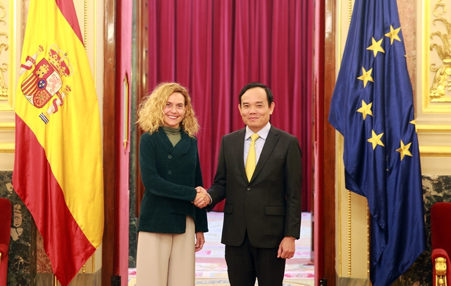 Phó Thủ tướng Trần Lưu Quang hội kiến Chủ tịch Hạ viện Tây Ban Nha, gặp gỡ thân mật kiều bào - Ảnh 1.
