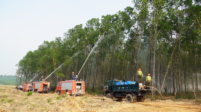 Quảng Trị: Diễn tập phương án phòng chống cháy rừng trước mùa nắng nóng - Ảnh 1.
