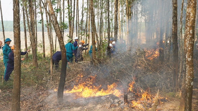 Quảng Trị: Diễn tập phương án phòng chống cháy rừng trước mùa nắng nóng - Ảnh 3.