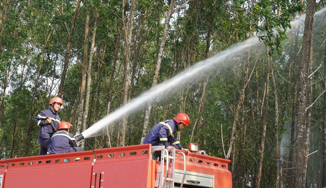 Quảng Trị: Diễn tập phương án phòng chống cháy rừng trước mùa nắng nóng - Ảnh 4.