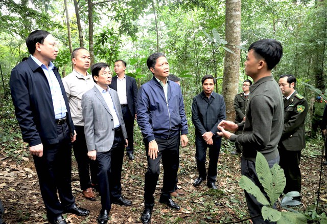 Quảng Ninh thành công trong chuyển  phương thức phát triển từ “nâu” sang “xanh” - Ảnh 1.