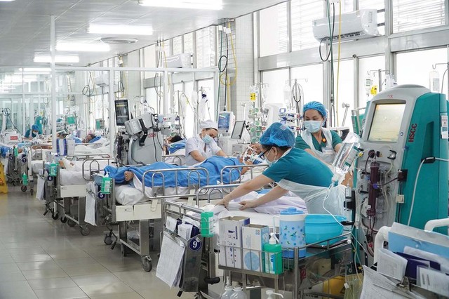 ‘Liều thuốc’ quý cho ngành y - Ảnh 1. ‘Liều thuốc’ quý cho ngành y - Ảnh 1.