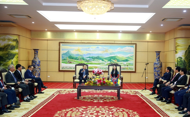 Phó Thủ tướng Trần Lưu Quang thăm và làm việc tại tỉnh Vĩnh Phúc - Ảnh 1.