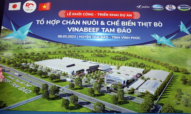 Việt Nam, Nhật Bản hợp tác chăn nuôi, chế biến thịt bò chất lượng cao tại Tam Đảo - Ảnh 2.