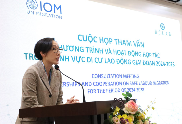 IOM đánh giá cao cam kết của Việt Nam nhằm bảo vệ quyền của người lao động di cư  - Ảnh 1.