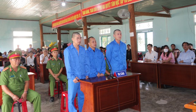 21 năm tù cho 3 đối tượng phá rừng quy mô lớn ở Kon Tum - Ảnh 1.