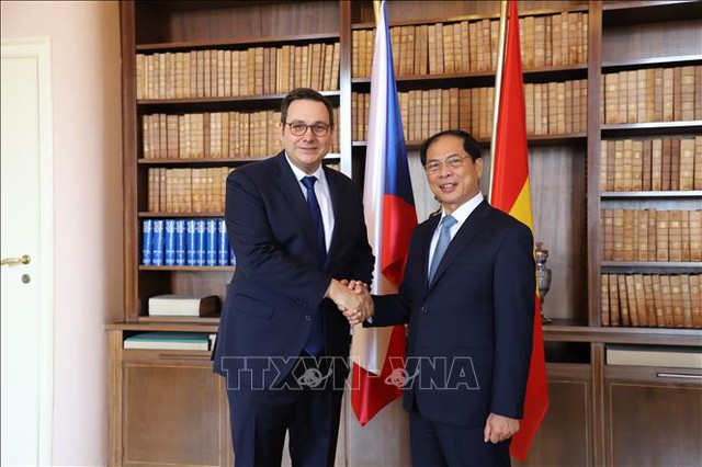 Bộ trưởng Ngoại giao Bùi Thanh Sơn thăm chính thức Cộng hoà Czech - Ảnh 2.