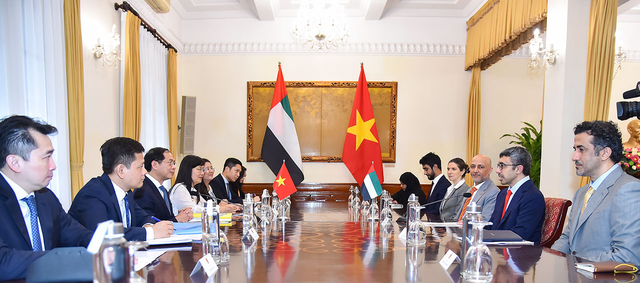 Bộ trưởng Bùi Thanh Sơn hội đàm với Bộ trưởng Ngoại giao UAE - Ảnh 2.