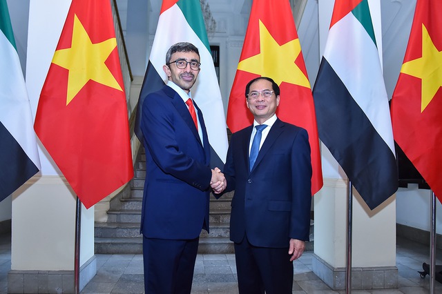 Bộ trưởng Bùi Thanh Sơn hội đàm với Bộ trưởng Ngoại giao UAE - Ảnh 1.