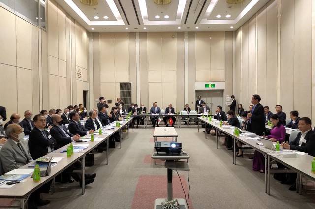Bình Định tăng cường xúc tiến đầu tư với các doanh nghiệp Nhật Bản - Ảnh 1.