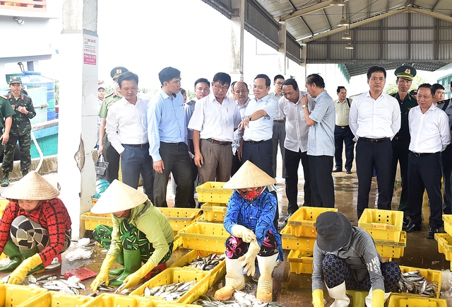 Phó Thủ tướng Trần Lưu Quang khảo sát tình hình khai thác hải sản tại Kiên Giang - Ảnh 1.