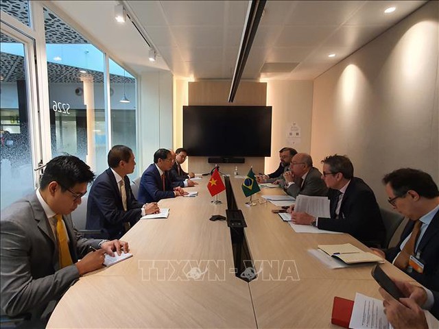 Bộ trưởng Bộ Ngoại giao Bùi Thanh Sơn gặp song phương bên lề Hội nghị Bộ trưởng Hội đồng OECD - Ảnh 1.