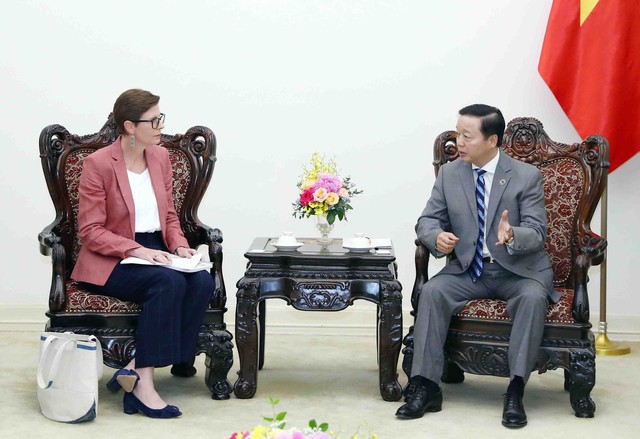 Phó Thủ tướng Trần Hồng Hà tiếp Trưởng đại diện Tổ chức Y tế thế giới tại Việt Nam - Ảnh 1.