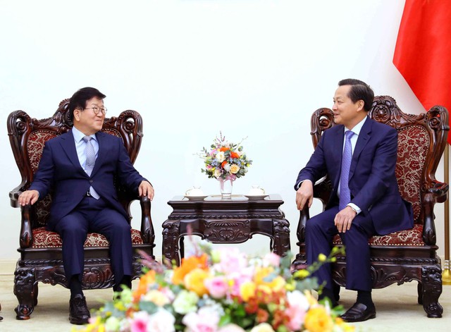 Phó Thủ tướng Lê Minh Khái tiếp nguyên Chủ tịch Quốc hội Hàn Quốc Park Byeong-seug - Ảnh 3.