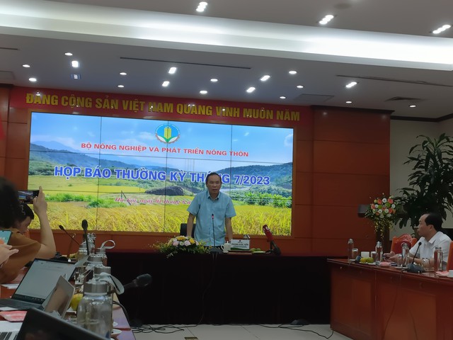 Việt Nam sẵn sàng cho cơ hội xuất khẩu gạo chưa từng có - Ảnh 2.