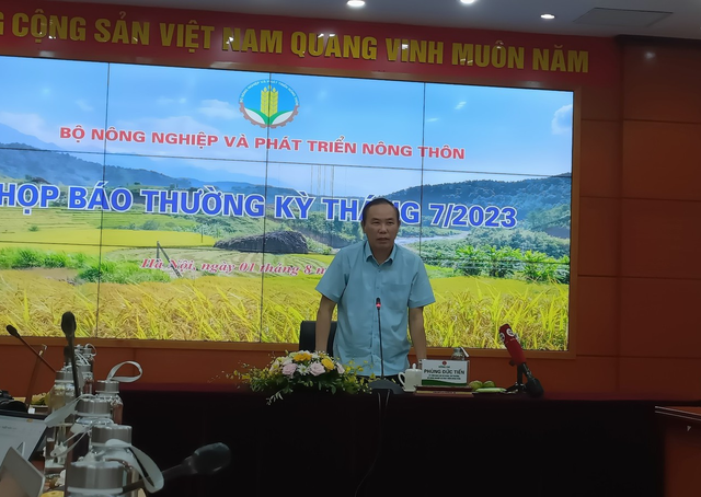 Việt Nam sẵn sàng cho cơ hội xuất khẩu gạo chưa từng có - Ảnh 2.