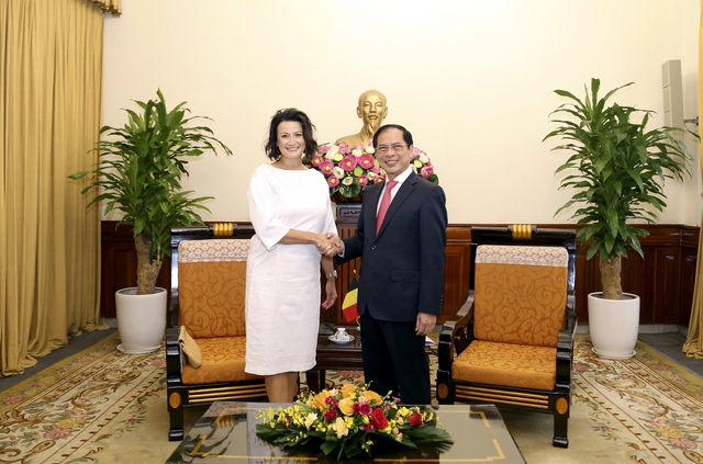Bộ trưởng Ngoại giao Bùi Thanh Sơn tiếp Chủ tịch Thượng viện Bỉ Stephanie D'Hose - Ảnh 1.