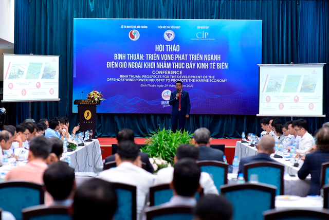 Bình Thuận hợp tác với Đan Mạch phát triển ngành điện gió ngoài khơi - Ảnh 1.