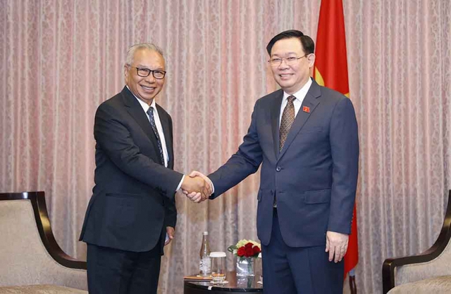Chủ tịch Quốc hội tiếp lãnh đạo Hội Hữu nghị, Ủy ban Kiểm toán và tập đoàn kinh tế lớn của Indonesia - Ảnh 3.