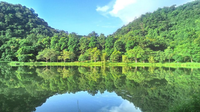 Cúc Phương 5 lần liên tiếp được bình chọn là 'Vườn quốc gia hàng đầu châu Á' - Ảnh 1.