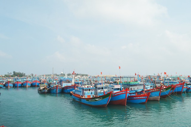 Quảng Ngãi quyết liệt hơn để gỡ thẻ vàng thủy sản - Ảnh 1. Quảng Ngãi quyết liệt hơn để gỡ thẻ vàng thủy sản - Ảnh 1.