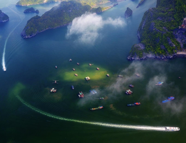UNESCO công nhận Vịnh Hạ Long - Quần đảo Cát Bà là Di sản Thiên nhiên Thế giới - Ảnh 1.