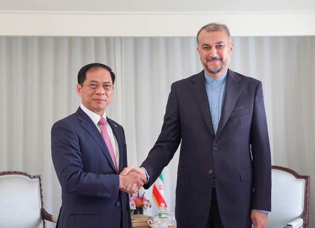 Bộ trưởng Bùi Thanh Sơn gặp song phương Bộ trưởng Ngoại giao Mexico, Iran - Ảnh 1.